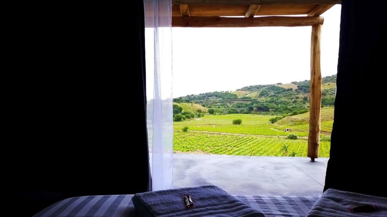 Bed and Breakfast Les Cabanons De Meme Jeannette Port Vendres Zewnętrze zdjęcie